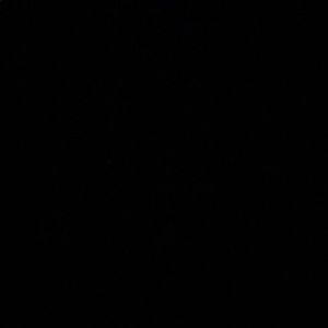 Meet your Posher, Leonor